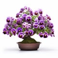 Purple Pansy Bonsai Tree: Japanese Traditional Art Influence