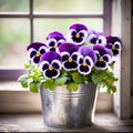 Purple Pansy Bouquet In a Metal Bucket