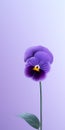 Ultra Realistic Pansy Mobile Wallpaper For Posh And Samsung Q800t
