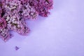 Purple paper texture background decorated