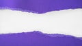 Purple paper is torn over white background for message. Template for your text Royalty Free Stock Photo