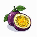 Purple Passion Fruit Cartoon Illustration: Ink And Color Style