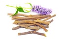 Purple pink blue flower liquorice roots sticks Agastache garden herb licorice liquorice isolated on white