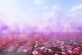 purple pink bright spring arrival image flower-like material background gradation Watercolor
