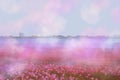 purple pink bright spring arrival image flower-like material background gradation Watercolor