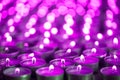 Purple pink candle light. Christmas or Diwali celebration tealight candlelight. Christmas vigil lights Royalty Free Stock Photo