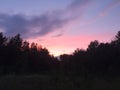 Purple pink clouds trees night