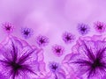 Purple-pink flowers, on pink- blurred background . Closeup. Bright floral composition Royalty Free Stock Photo
