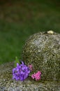 Purple and pink fowes decorate water rock bubble fountain