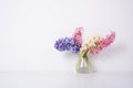 Purple and pink hyacinth flowers Royalty Free Stock Photo