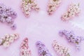 Purple and pink lilac blossoms on pinkish background Royalty Free Stock Photo