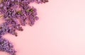 Purple and pink lilac flowers. Bouquet of lilac on pink background. With space for your text - Image Royalty Free Stock Photo