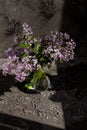 Bouquet of lilac in glass vase Royalty Free Stock Photo