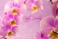 Purple ,pink orchid flowers on pink background with copy space Royalty Free Stock Photo