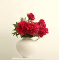 Purple pion flower bouquet in white vase on gray beige interior wall. Minimalist still life. Light and shadow nature background