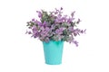 Purple plant in blue metal flower pot