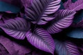 Purple plant leaves background, dark floral tropical pattern for wallpaper, generative AI