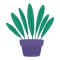 purple plantpot design Royalty Free Stock Photo