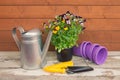 Purple plastic flower pots, watering can, seedlings of pansy flowers and yellow gardening tools Royalty Free Stock Photo