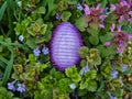 Purple plastic nylon Easter egg among wild orchids