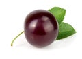 Purple plum with leaves isolated on white background Royalty Free Stock Photo