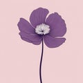 Minimalist Purple Poppy Illustration On Pink Background