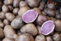 Purple potato. Vitelotte. Purple potatoes.