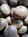 Potatoes, Purple Potatoes, Farmers Market Royalty Free Stock Photo