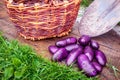 Purple potatoes, wicker basket and shovel on wooden planks Royalty Free Stock Photo