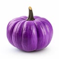 Violet Pumpkin: A Color-streaked, Realistic Artwork In The Style Of Patricia Piccinini