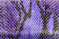Purple python leather, skin texture for background.