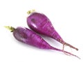 Purple radish in studio