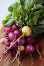 Purple radish on a wooden board