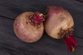 Purple raw organic beetroots. Royalty Free Stock Photo