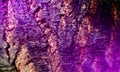Purple Real wood Texture Background.