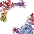 Purple and red aquatic nature coral reef. Watercolor background illustration set. Frame border ornament square. Royalty Free Stock Photo