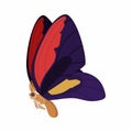 Purple-red butterfly icon, cartoon style Royalty Free Stock Photo