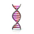 Purple and red DNA model icon