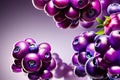 purple and red grapes with leaves. fresh fruits on a purple background. high quality illustrationpurple and red grapes with leaves