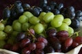 Purple, Red & Green Grapes Royalty Free Stock Photo