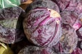 Purple red organic cabbage sold at farmers market Royalty Free Stock Photo