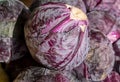 Purple red organic cabbage sold at farmers market Royalty Free Stock Photo