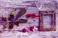 Purple and red still life with flowers and a picture frame on wooden background Royalty Free Stock Photo