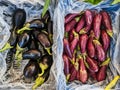 Purple and Red Stripe Eggplants at Greek Street Market Royalty Free Stock Photo