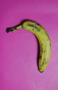 Purple Retro look banana with eyes funny