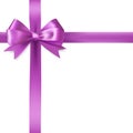 Purple ribbon bow Royalty Free Stock Photo