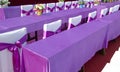 Purple ribbon chair Royalty Free Stock Photo