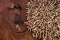 Purple rice seed on wood