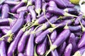 purple ripe eggplants in market