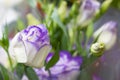 Purple rose bouquet for the bride on her special day Royalty Free Stock Photo